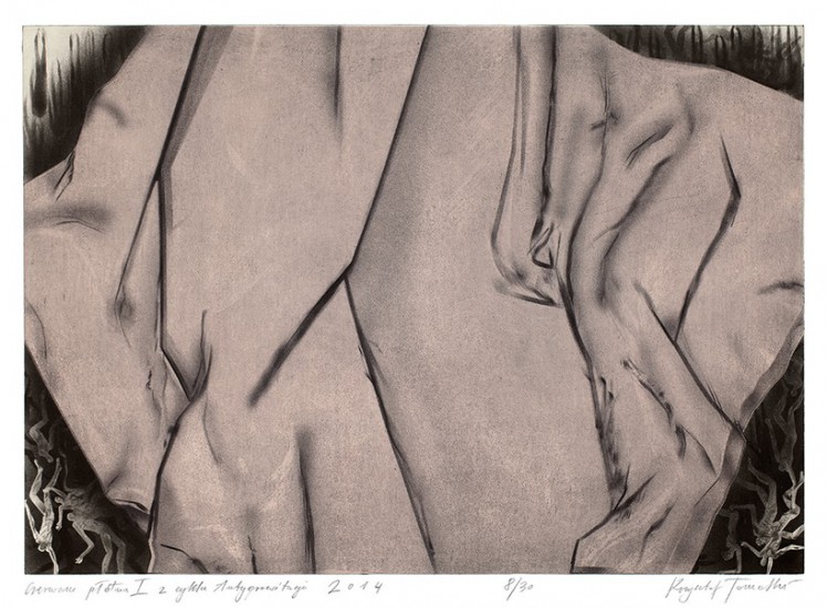 Red Veil I, from the cycle Antigravity | alintaglio | 70×99 cm | 2014